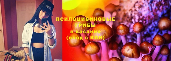 тгк Арсеньев