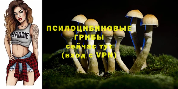 mdpv Армянск