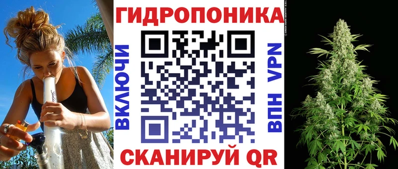 где найти   Новоузенск  Канабис Ganja 